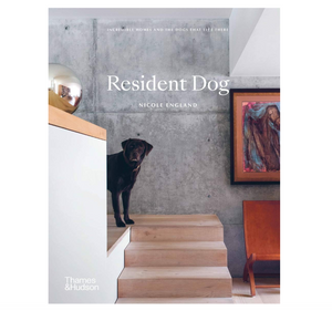 RESIDENT DOG - INCREDIBLE HOMES & THE DOGS THAT LIVE THERE