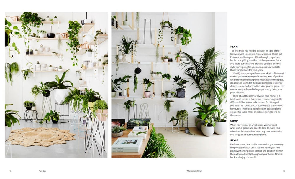 PLANT STYLE