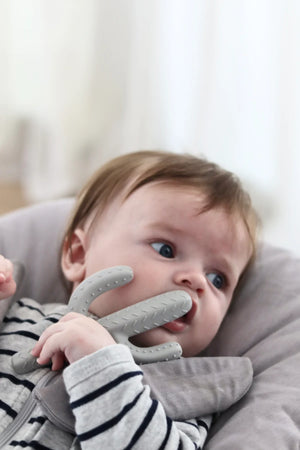 TEETHER - CACTUS GREY