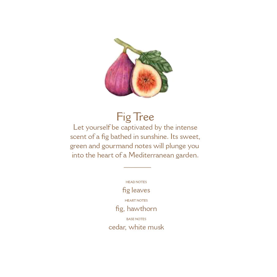 PANIER DES SENS - FIG TREE ROOM SPRAY