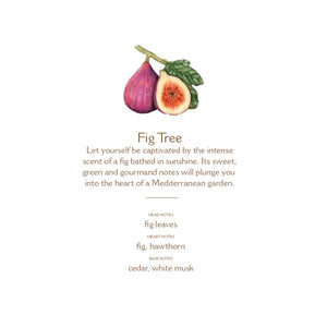 PANIER DES SENS - FIG TREE ROOM SPRAY