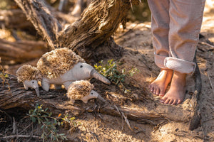MINI SPIKE THE ECHIDNA RATTLE