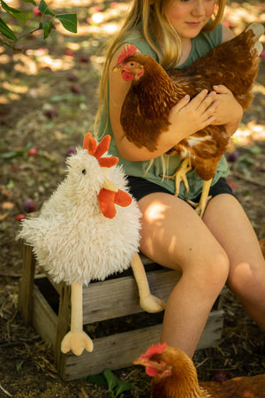 ROY THE ROOSTER