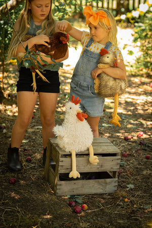 ROY THE ROOSTER