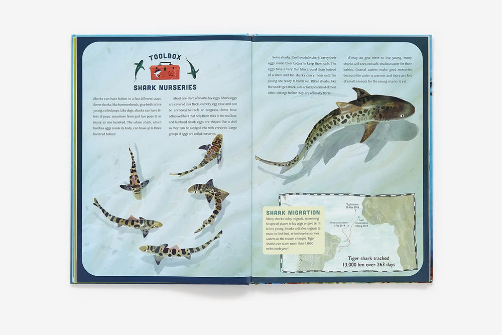 SHARKS A MIGHTY BITE-Y HISTORY