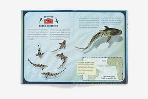 SHARKS A MIGHTY BITE-Y HISTORY