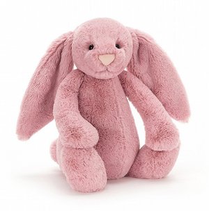 BASHFUL BUNNY TULIP - MEDIUM