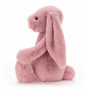 BASHFUL BUNNY TULIP - MEDIUM
