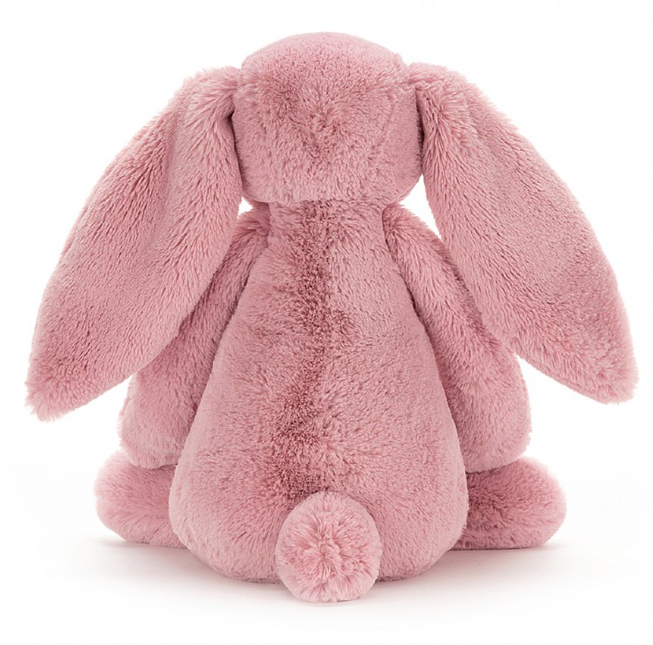 BASHFUL BUNNY TULIP - MEDIUM