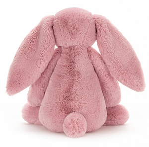 BASHFUL BUNNY TULIP - MEDIUM
