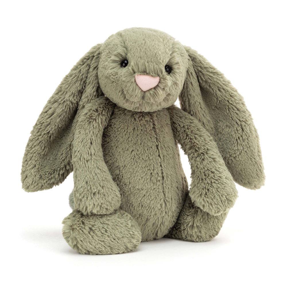 BASHFUL BUNNY FERN- MEDIUM