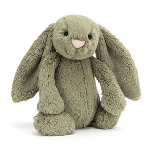 BASHFUL BUNNY FERN- MEDIUM