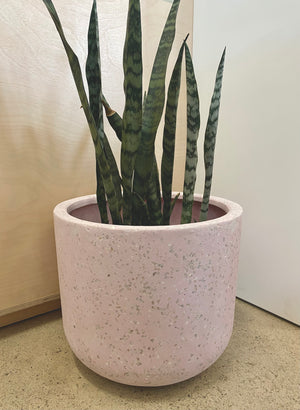 
            
                Load image into Gallery viewer, ARCHIE PLANTER - MEDIUM - PINK
            
        