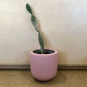 
            
                Load image into Gallery viewer, ESTA CONCRETE PLANTER - SMALL - PINK
            
        