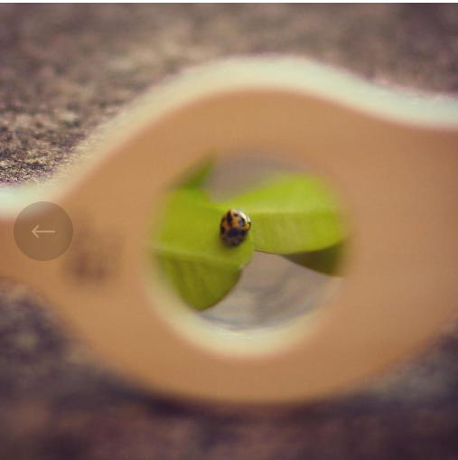 LOOSE CHANGE LEAF MAGNIFY GLASS TOY