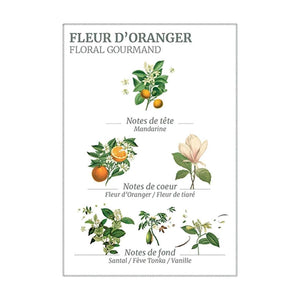 PANIER DES SENS - Orange Blossom Hand Cream- 75ml