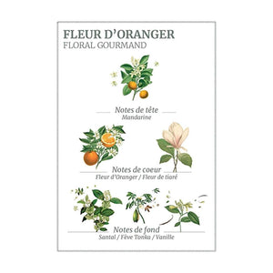 
            
                Load image into Gallery viewer, PANIER DES SENS - Orange Blossom Hand Cream- 75ml
            
        